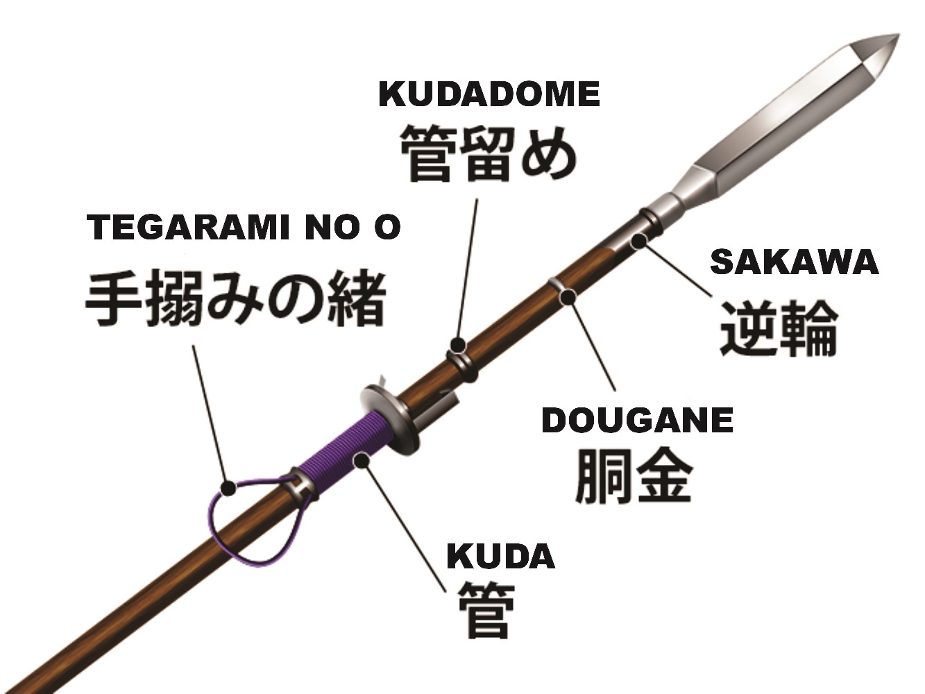 Kuda