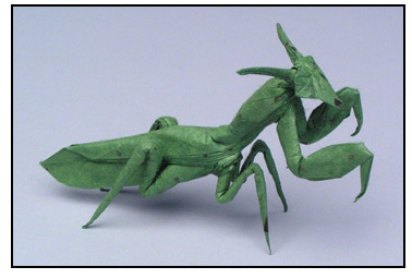 praying_mantis