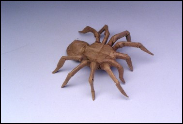 tarantula